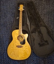 Luna Acoustic Guitar with Hard Case Electric Acoustic Guitar