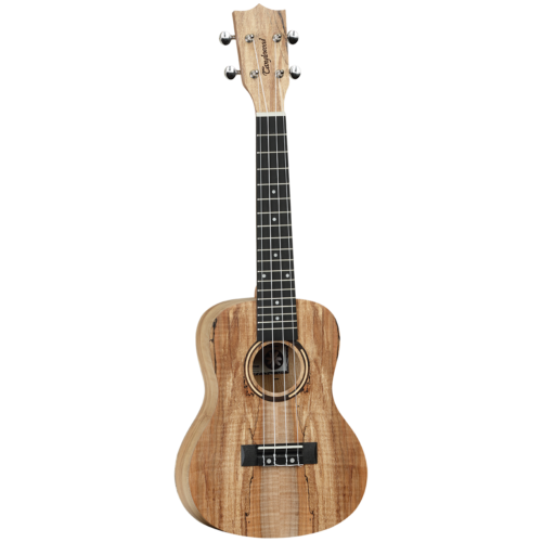 Tanglewood Tiare Concert Ukulele All Spalted Maple - Picture 1 of 4
