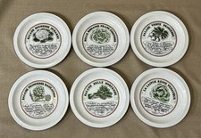 6 - Vintage the Toscany Collection Vinaigrette French Salad Plates Japan EUC