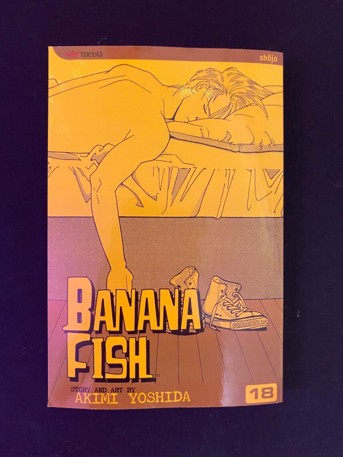 Banana Fish Manga Volume 18