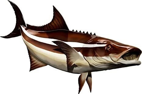 Cobia Beautiful Vinyl Sticker Fish Decals for Boat Car Vehicle Truck Fishing - Picture 5 of 13