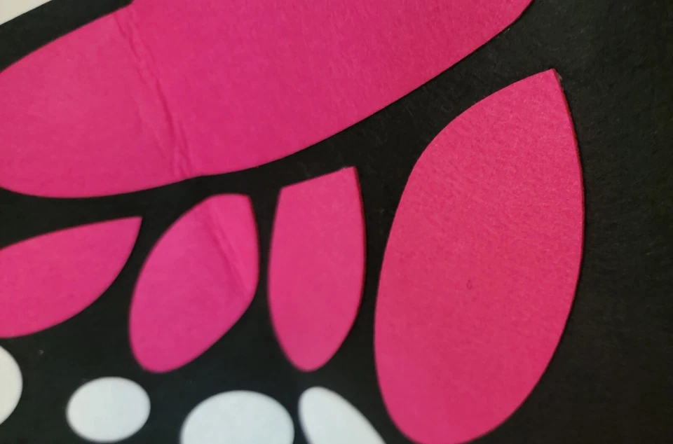 Disfraz Mariposa Fucsia Rosa Negro Alas Máscara Fieltro L Niño Nuevo Foto 2 de 4