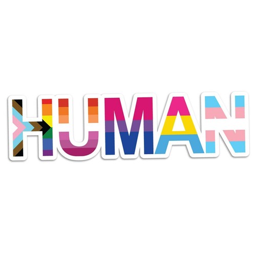 Human Progress LGBTQ+ Flags Rainbow Lesbian Bisexual Vibrant Vinyl Decal Sticker - Picture 2 of 2