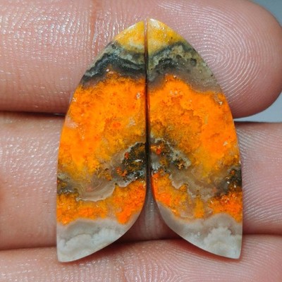 22.10 Cts Natural Bumble Bee Jasper Fancy Pair Cab Loose Gemstone  11x29x4 mm