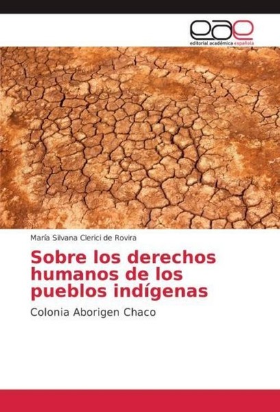Sobre Los Derechos Humanos De Los Pueblos IndíGenas MaríA Silvana Clerici De Rov-image
