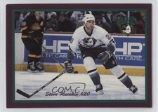 1996-97 Southland Anaheim Mighty Ducks Steve Rucchin #11 0q3