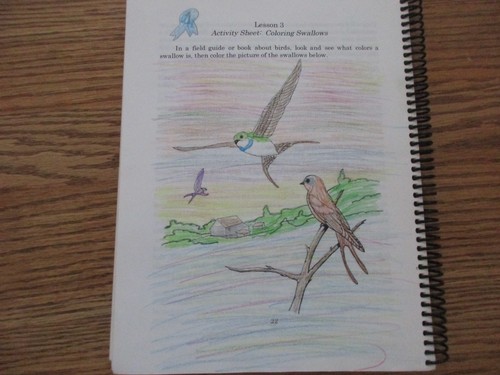 A Nature Walk with Aunt Bessie (Curriculum by Sandi Queen for Elementary) - Picture 3 of 7