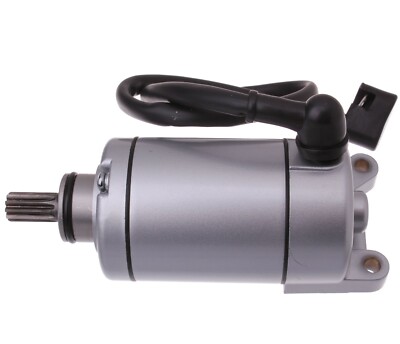 Quad ATV 200 250 300 Bashan Shineray Anlasser Starter 12 Volt 10 Zähne Dirt Bike