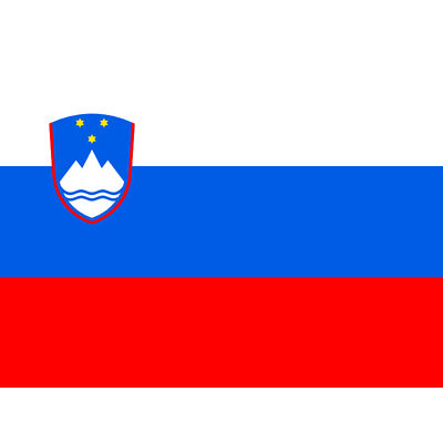 Slovenia National Flag World Flags Country XL Wall Art Canvas Poster Print Huge