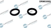 Dr.Motor Automotive DRM0309S Dichtung FüR ÖL-KüHler FüR Ford 2 StüCk