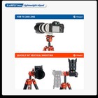 Afbeelding 8 van 24