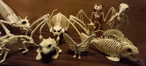 🎃11 SKELETON ANIMAL FIGURE LOT- HALLOWEEN- GOTH- HORROR- SKELETON🎃 - Picture 6 of 12