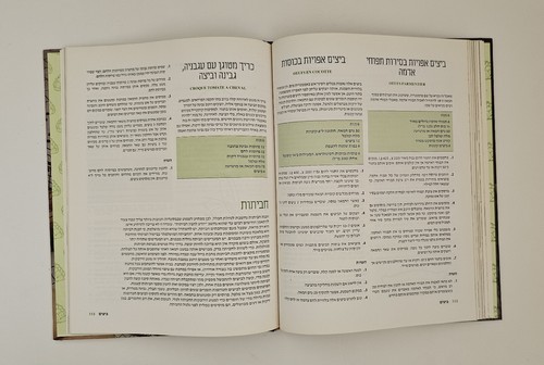 Libro de cocina kosher hebreo COCINA FRANCESA SIN CARNE por FAYE LEVY DE COLE... - Imagen 21 de 24