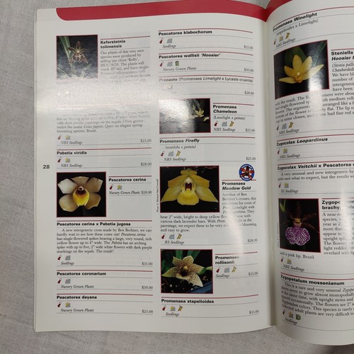 1999 Hoosier Orchid Company Indianapolis Bulletin Catalog Orchids Photos - Picture 6 of 24