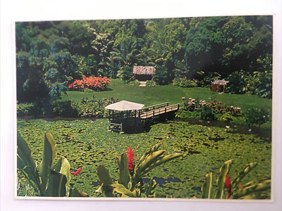 Haiku Gardens Oahu Hawaii Photo By John Wagner Vintage Postcard