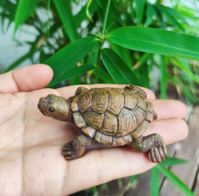 Schildkröte Turtle Tierfigur Dekofigur für Garten Teich Blumentopf