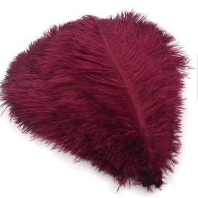 10-12inch 25-30cm Ostrich Feather Home Decoration DIY Craft Pack of 10 Wine Red