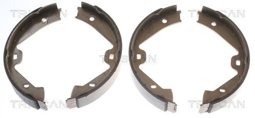 Triscan Bremsbackensatz, Feststellbremse 8100 29002 FüR Porsche VW-image