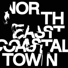 Life North East Coastal Town LP Vinyl NE