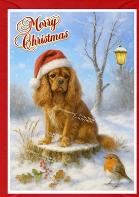 Cavalier King Charles Spaniel (Rubin) Hund (4''x 6'') Weihnachtskarte (innen leer)