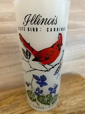 Vintage Illinois State Satin Glass Libbey Iced Tea/Drinking Glass Cardinal  16OZ