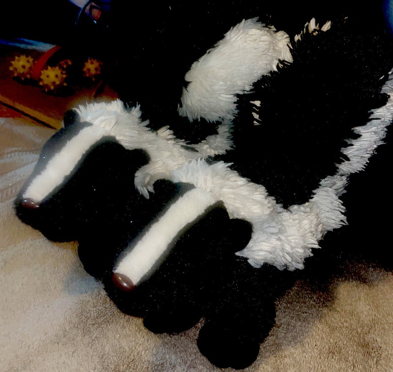 2 Skunk 11” by Wild Republic plush stuffed animal toy nocturnal