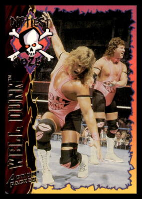 1995 Action Packed Dirtiest Dozen Well Done Tag Team WWF #31