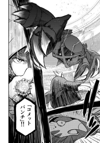 Doujinshi POKEMON MONSTRUO DE BOLSILLO " FESTIVAL DE CAMPEONES Vol.17 " SEIJUN Nuevo - Imagen 4 de 7