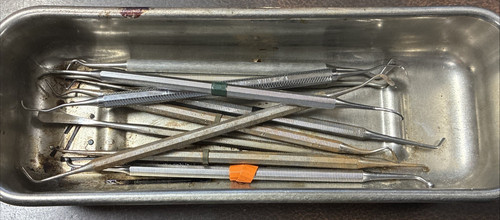 Lot Of 10 Dental Picks w/ Tray Stainless Steele U.S.A. *NOT FOR DENTAL USE*