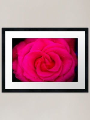 GROSSE rote rote Rose s/w X105 gerahmt ar gerahmtes Wandbild Poster Leinwanddruck Bild