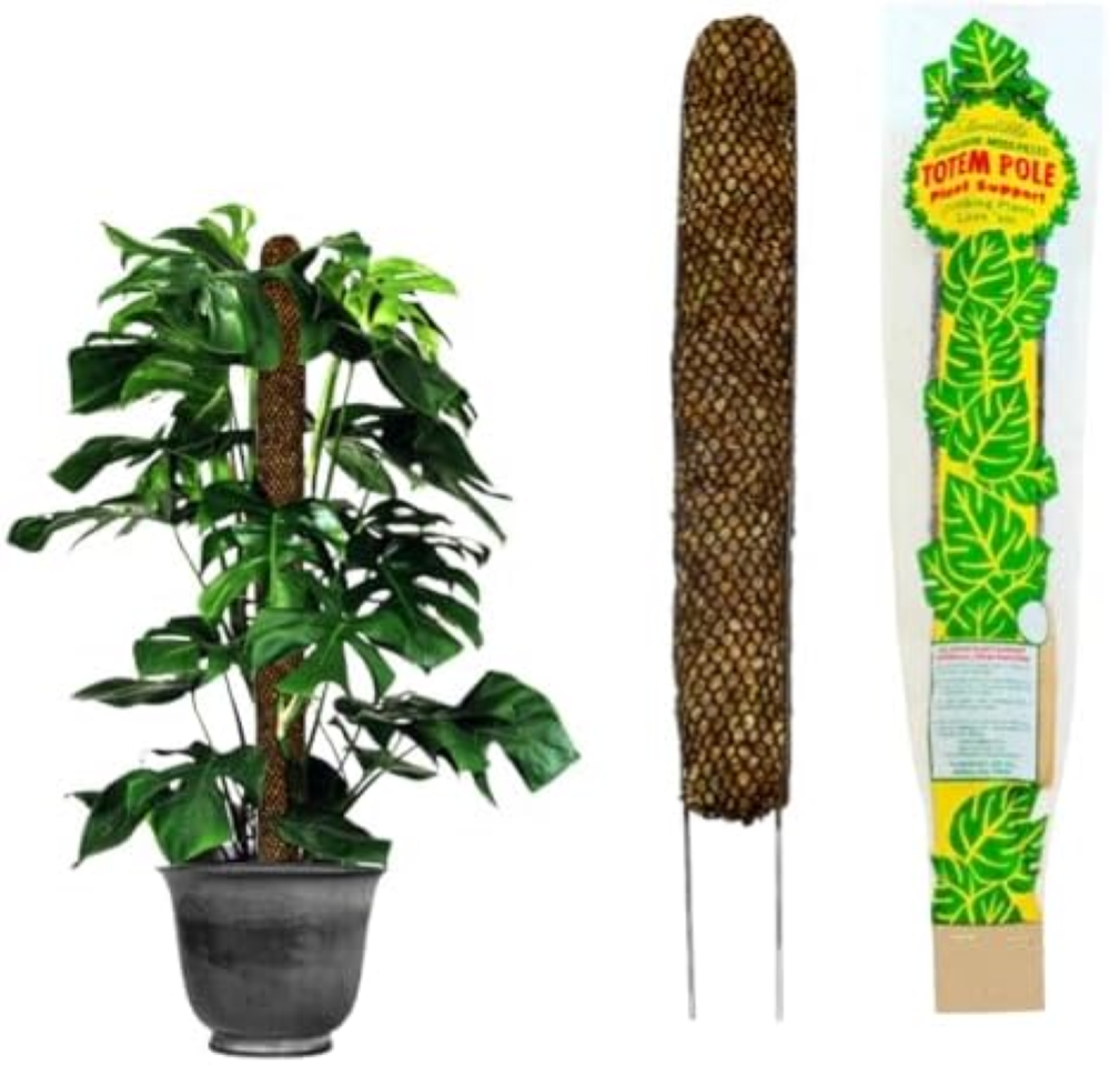 Mosser Lee Asta di Muschio per Piante d'appartamento Monstera, Asta di Muschio P