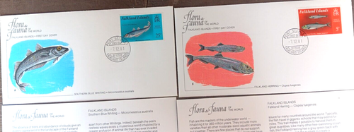 FALKLAND ISLANDS FISH HERRING 2 AUDUBON SOCIETY CACHET 1981 FDCS +INFO CARDS - 第 2/2 張圖片