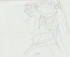 The Twelve Kingdoms Juuni Kokki Genga Douga Original Sketches Pierrot - Youko — photo 9