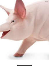 Safari Ltd Classic Pig and piglet - new tags