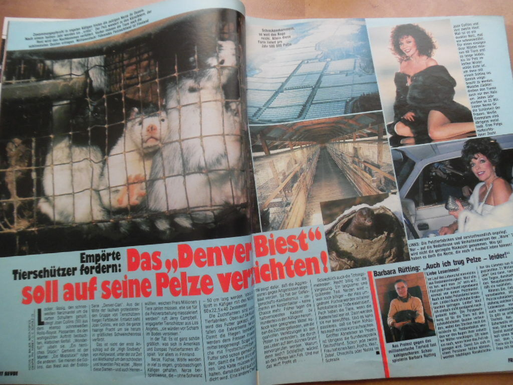 Bild 5 von 9