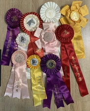Lot Of 10 Vintage Pony Horse Equestrian Show Ribbons 1970s