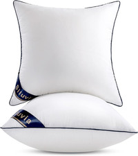 20X20 down Alternative Pillow Insert 2 Pack, 100 Cotton Cover 100 Premium Po