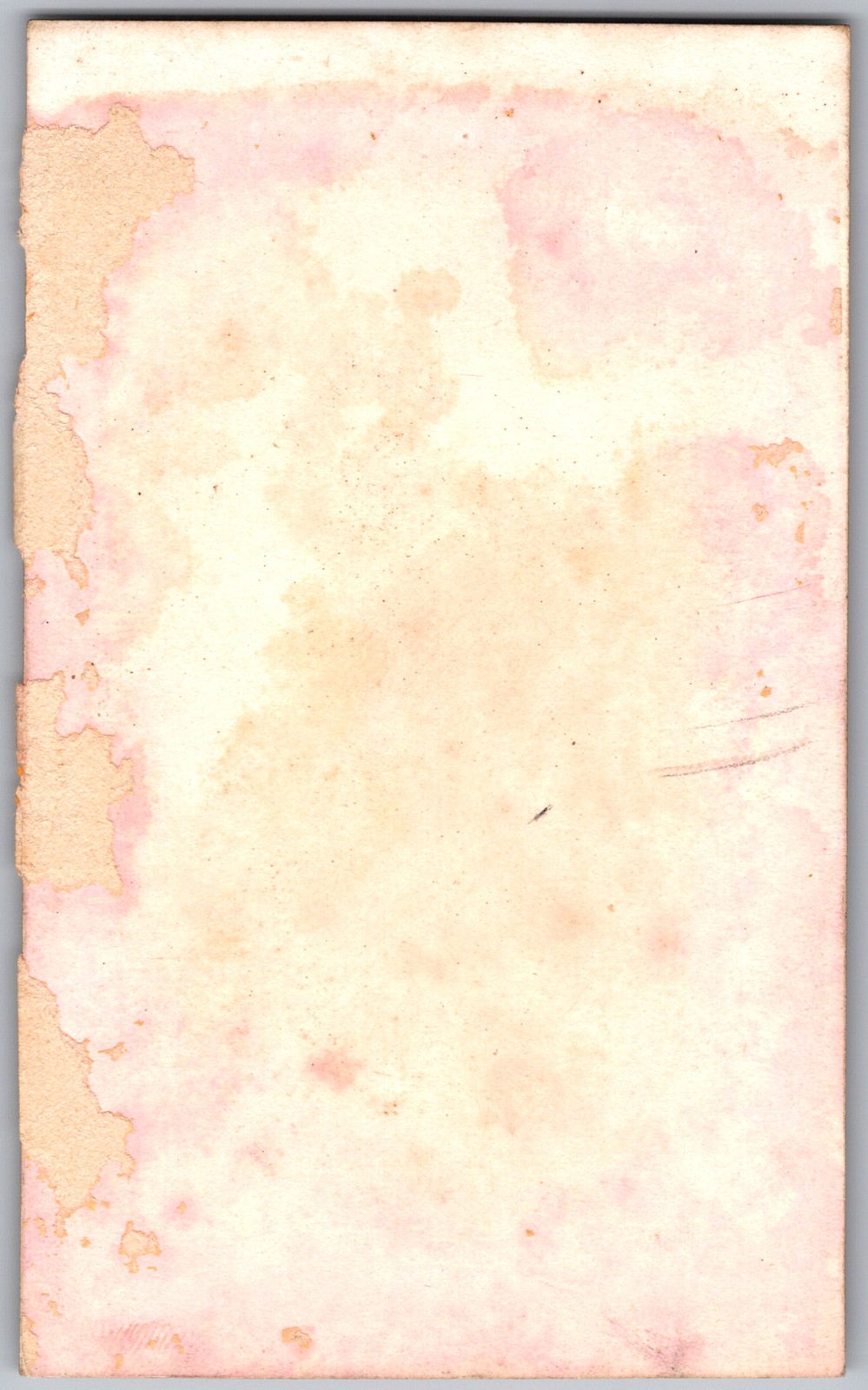 Antique CDV Circa 1870s Lady In Dress with Hair Bun Unmarked — additional view