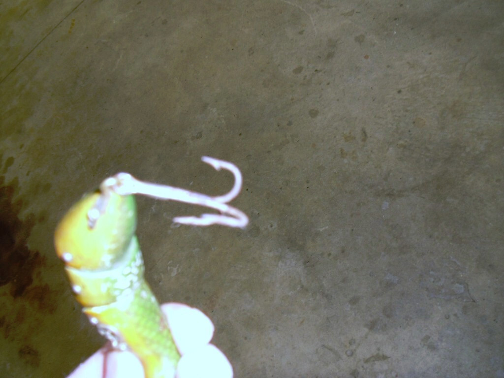 Rare 1923 Heddon Double Jointed 