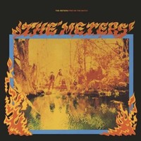 Meters - Fire On The Bayou Expanded Edition - Vinyl Record - G4Z