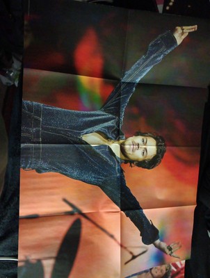 Harry Styles poster