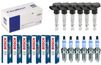 6x BERU Zündspule+6x BOSCH Zündkerze Doppel Iridium für Porsche Cayenne 955 3.6