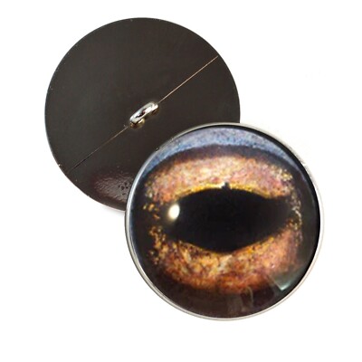 Pair Brown Toad Frog Half Sphere Sew-On Glass Eyes Taxidermy Jewelry