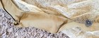 WWII Era Army Mosquito Net Pacific Theater Rare Original — photo 2