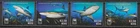 Nevis 2014 WWF Fauna Wildlife Marinelife Fisch Fish Shark compl set MNH