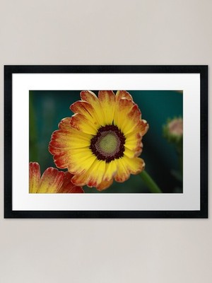 Yellow smiling face Framed Art Prin Framed Wall Art Poster Canvas Print Picture