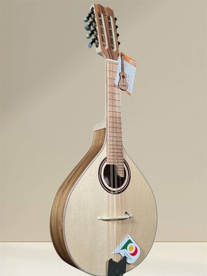 APC Classic MDL308 Mandolin - Acacia & Solid Spruce