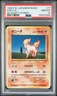 Ponyta