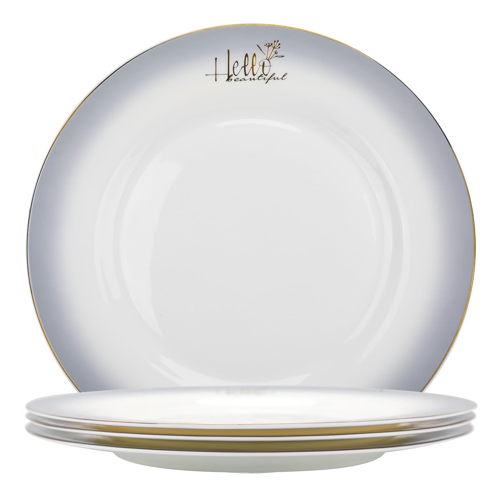 Fine Bone China Dinner Plates,10.5-inch Smoky Gray Sradient Rendering Plates ...