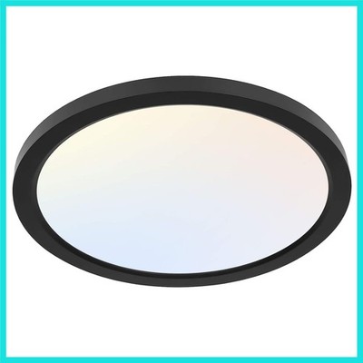 12 Inch Selectable CCT LED Round Flat Panel Light, 24W 3000K/4000K/5000K, Edg...
